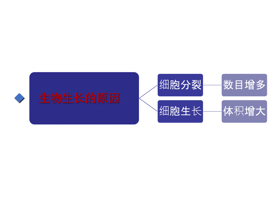 人教版七年级生物上册2.2.2动物体的结构层次(32张ppt)_第4页