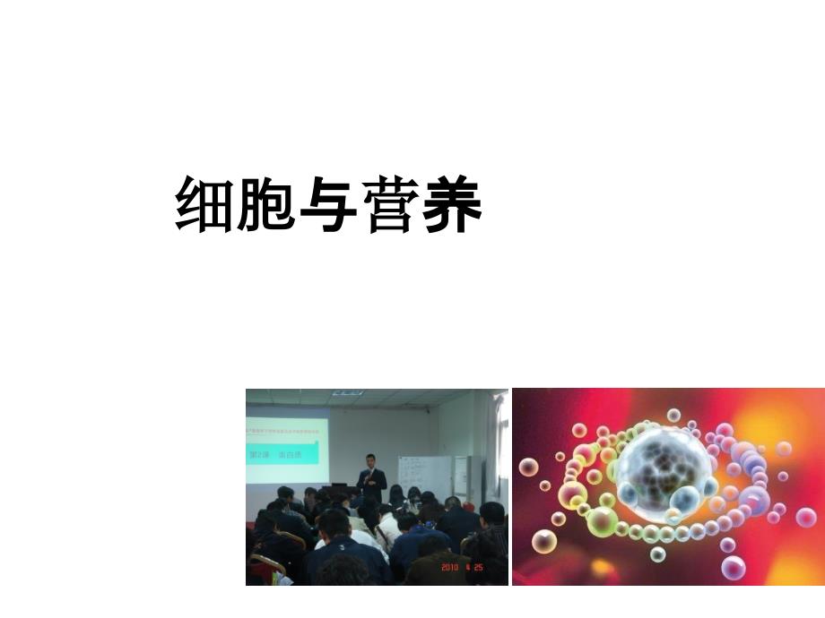 细胞与营养ppt课件_第1页
