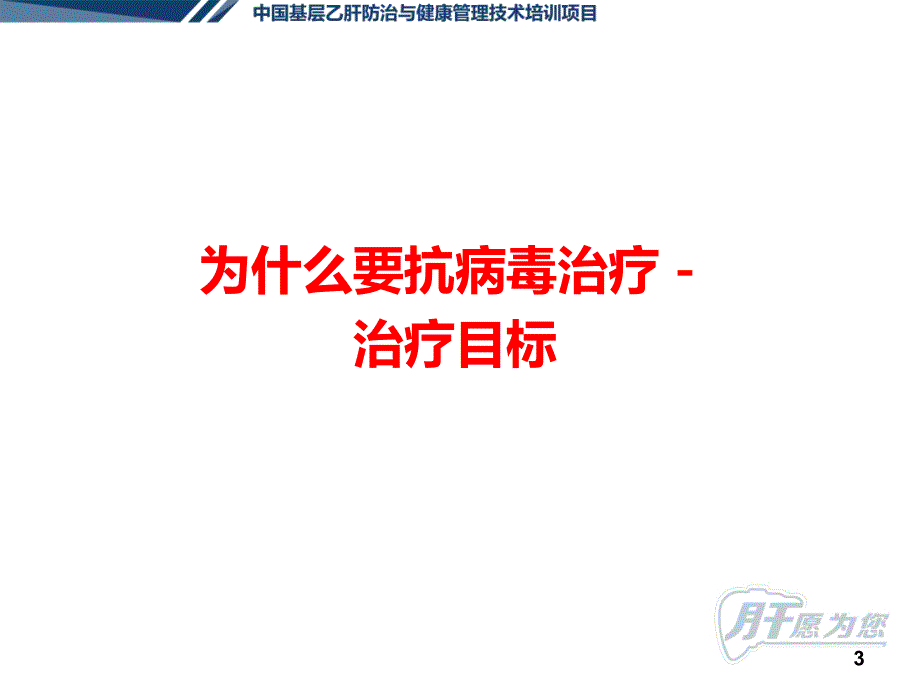 3.慢性乙肝的规范化抗病毒治疗,贾继东 谢青_第3页