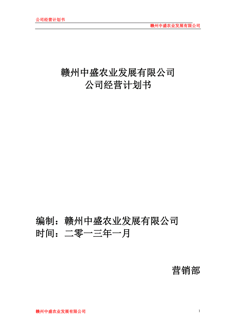 公司运营计划书模板85966_第1页