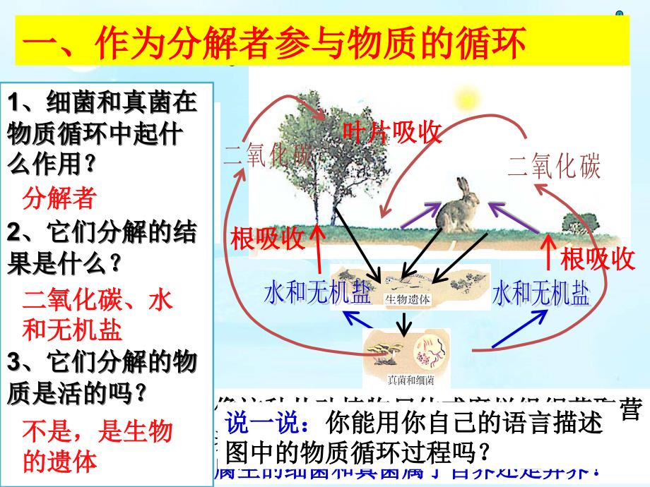 人教版八年级生物上册课件：5.4.4《细菌和真菌在自然界中的作用》(共23张ppt)_第3页