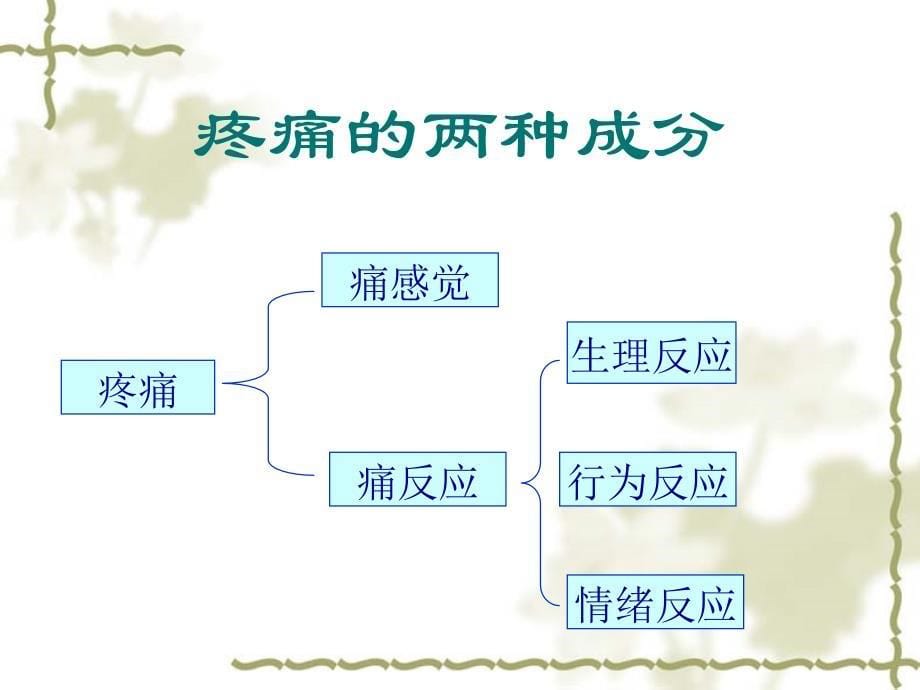 疼痛病人护理讲课_第5页