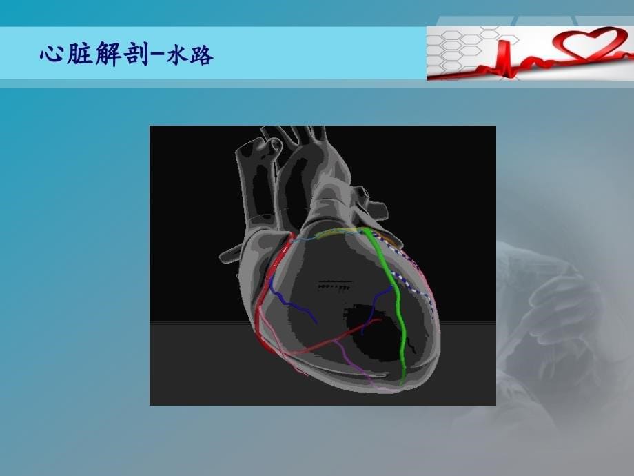 心电图基础与临床_第5页