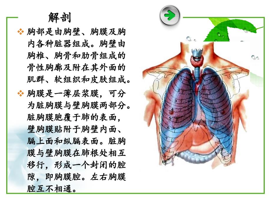 (3)血气胸病人护理_第2页