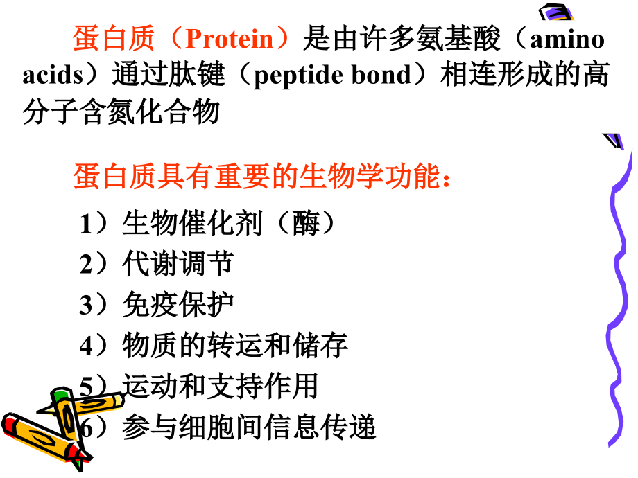 生物化学第二章,蛋白质结构与功能_第2页