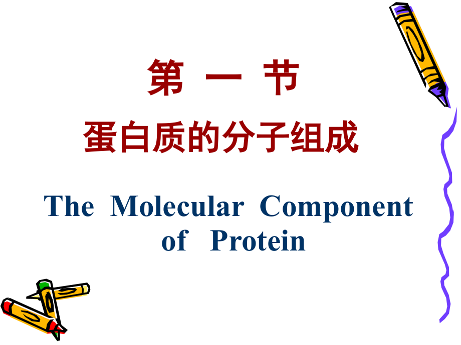 生物化学第二章,蛋白质结构与功能_第3页