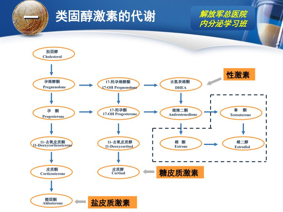 先天性肾上腺皮质增生症85780_第3页