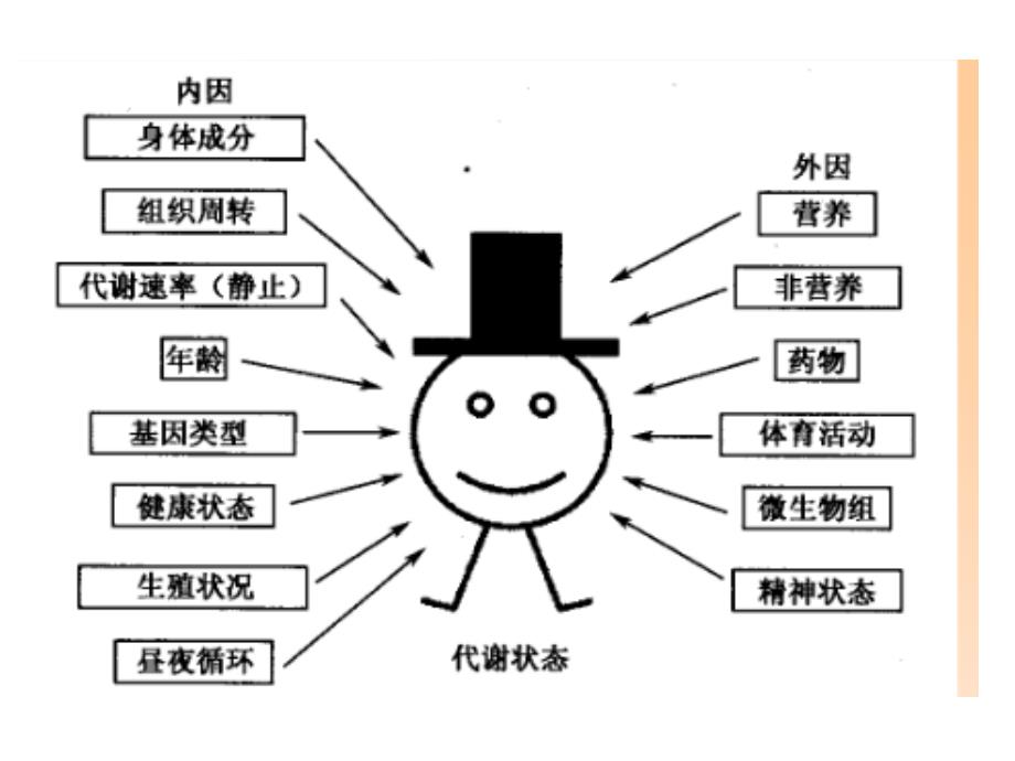 代谢组学研究方法和研究流程_第2页