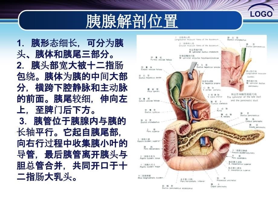 胰十二指肠切除术手术配合_第5页