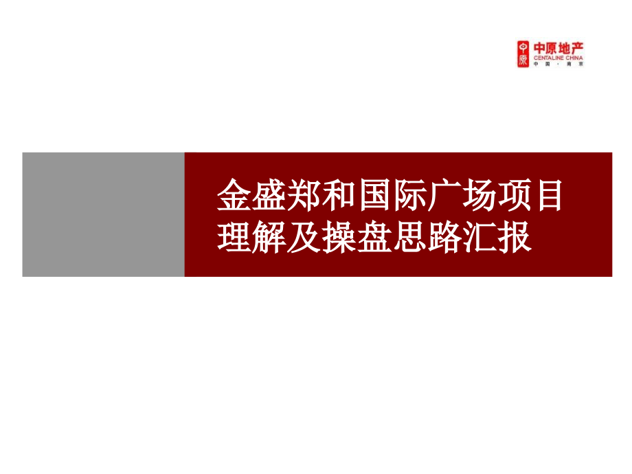 中原——2009年4月南京郑和国际广场项目理解及操盘思路汇报 (nxpowerlite)_第1页