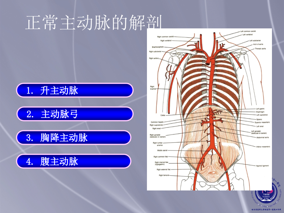 主动脉疾病诊断和治疗_第2页