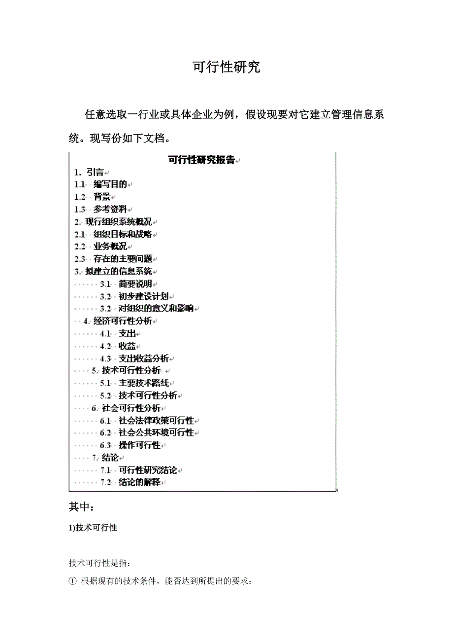 可行性研究报告格式1（推荐）_第1页