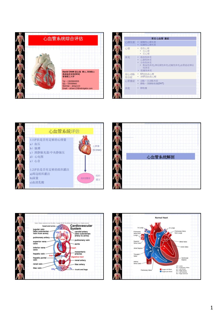 心血管系统综合评估_第1页