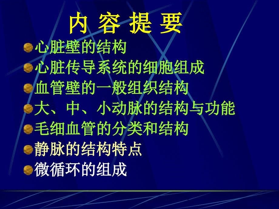 大学课件组织学与胚胎学循环系统_第5页