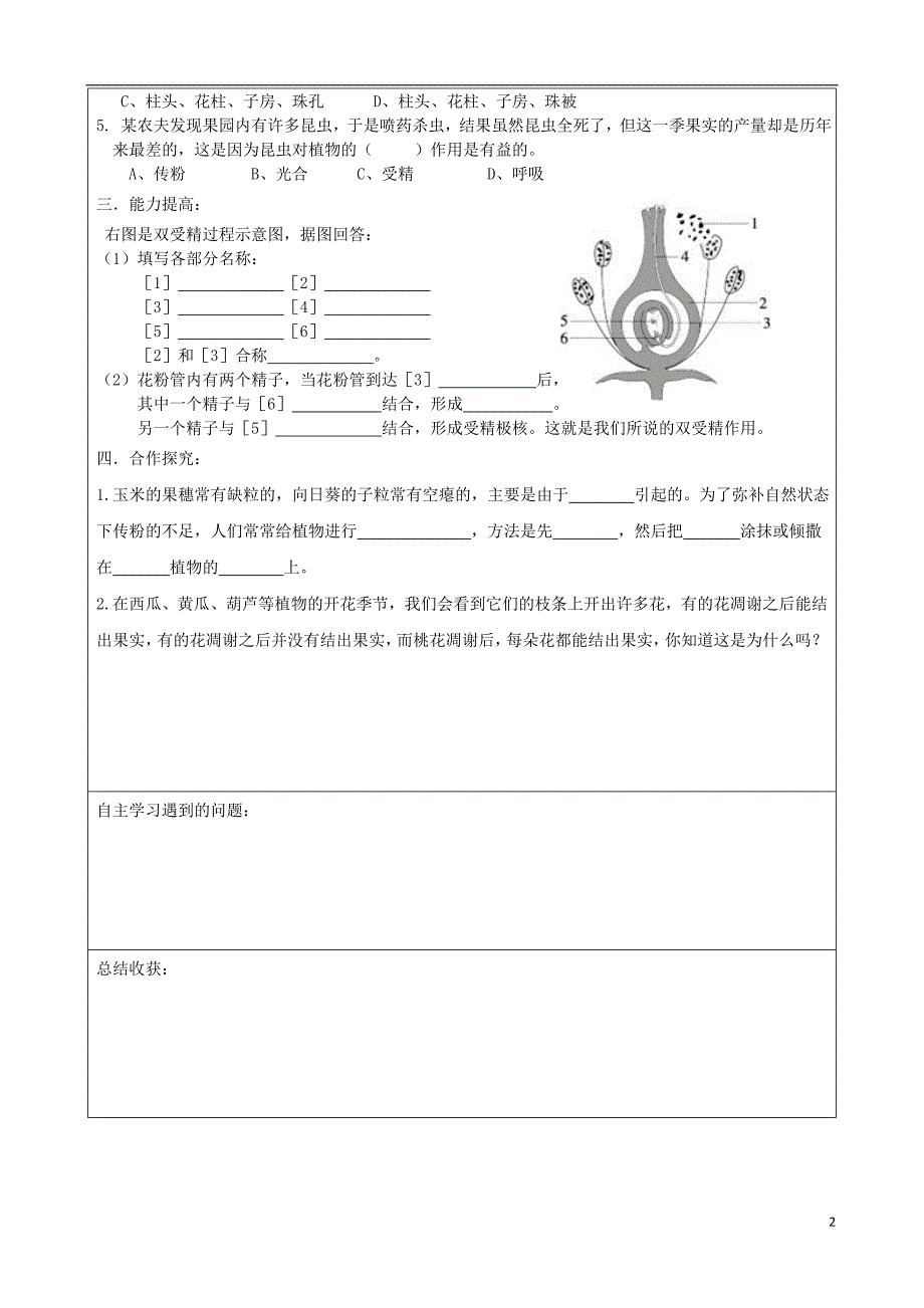 七年级生物上册 3.2.3开花和结果学案（无答案）（新版）新人教版_第2页