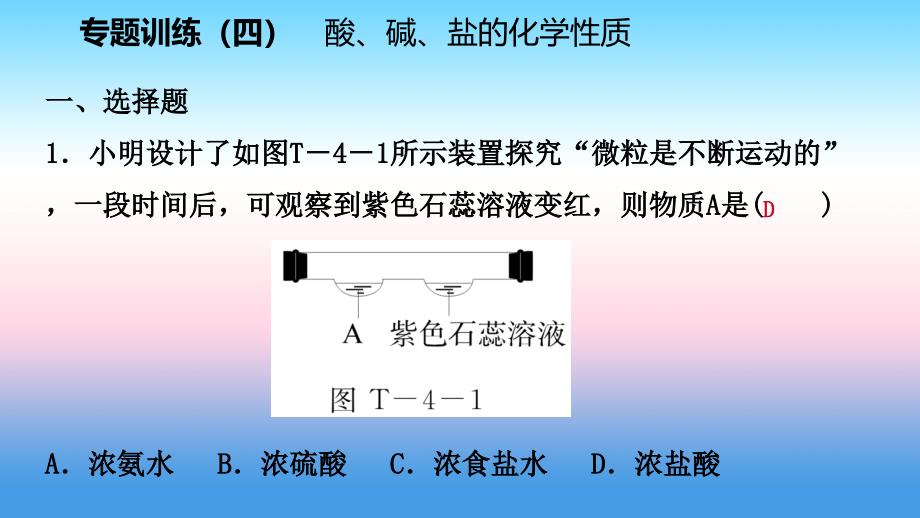 2018-2019学年九年级化学下册 第八章 常见的酸、碱、盐 专题训练（四）酸、碱、盐的化学性质同步练习课件 （新版）粤教版_第2页