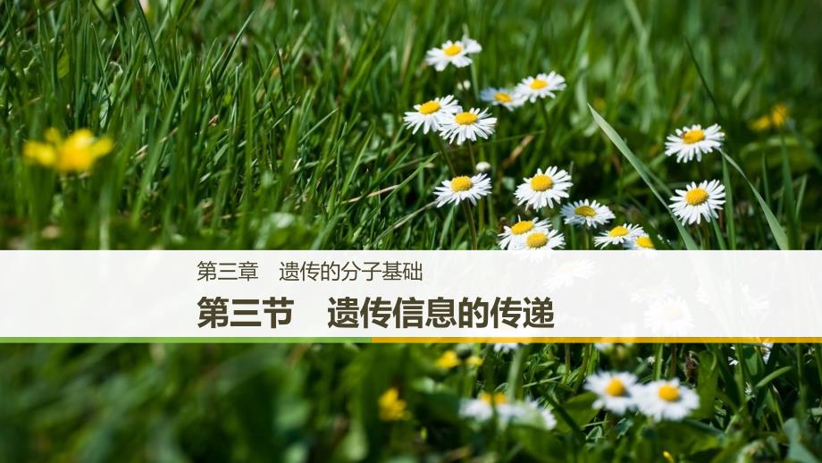 2018-2019学年高中生物 第三章 遗传的分子基础 第三节 遗传信息的传递课件 浙科版必修2_第1页