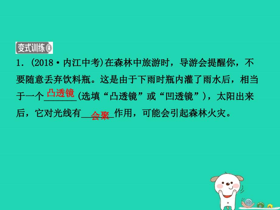 2019届中考物理 第四章 透镜及其应用复习课件_第4页