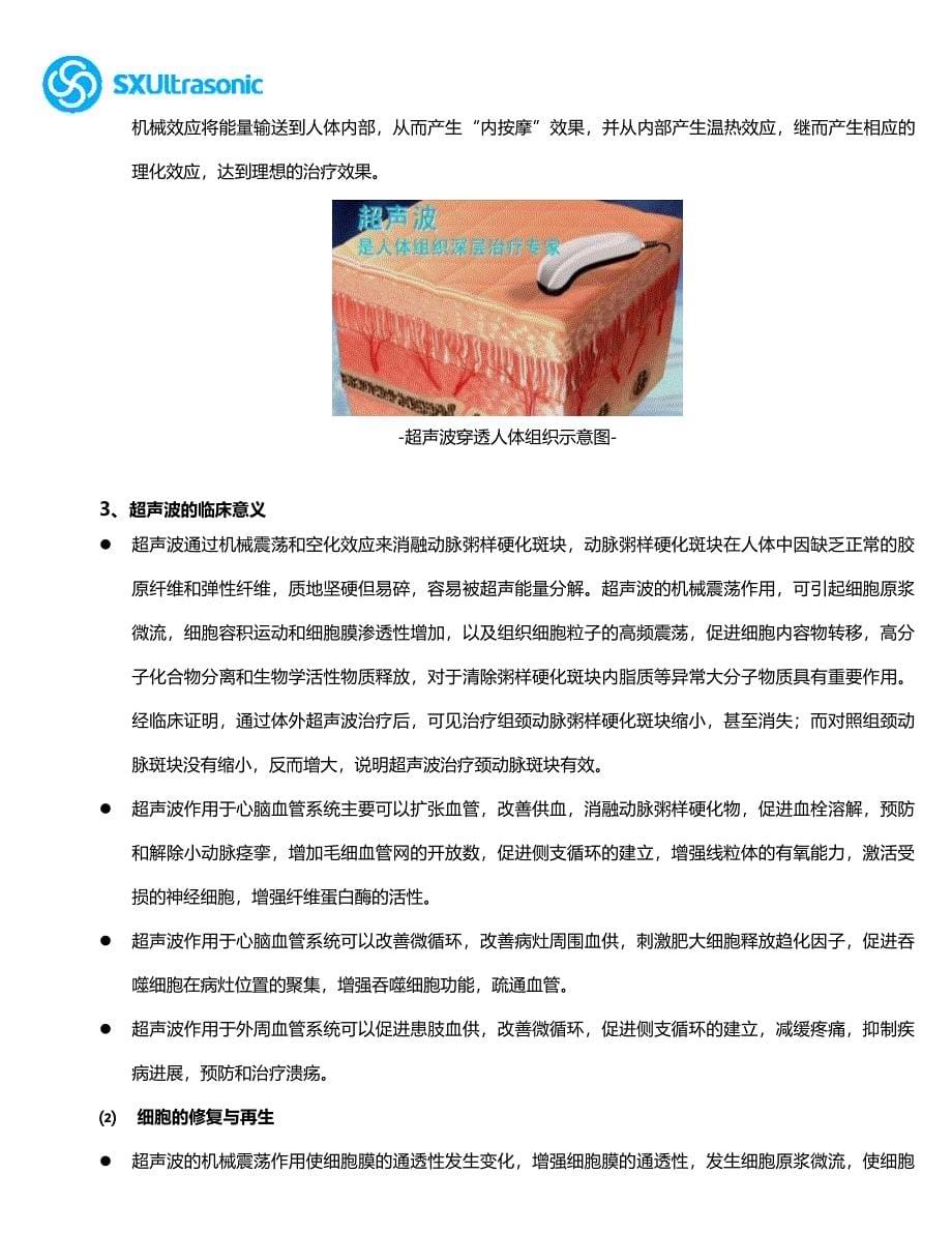 肢体血管超声治疗仪项目可行性报告_第5页