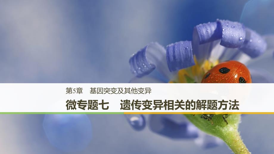 2018-2019学年高中生物 第5章 基因突变及其他变异 微专题七 遗传变异相关的解题方法课件 新人教版必修2_第1页