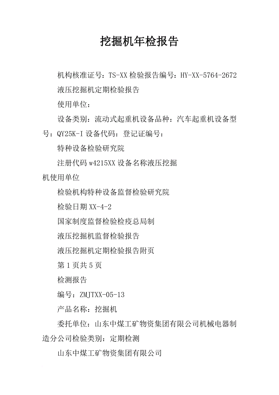 挖掘机年检报告_第1页
