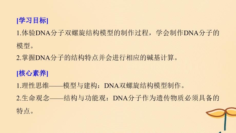 （粤渝冀辽苏皖闽鄂湘津京鲁琼专用）2018-2019学年高中生物 第3章 基因的本质 第2节 dna分子的结构课件 新人教版必修2_第2页