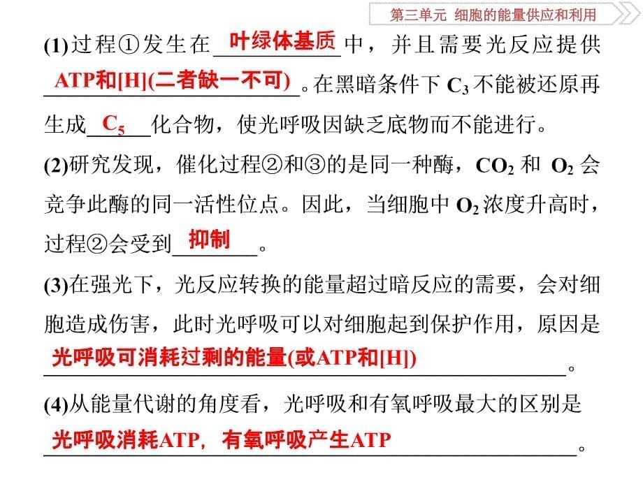 从高考阅卷突破非选择题规范答题1细胞代谢类解题攻略_第5页