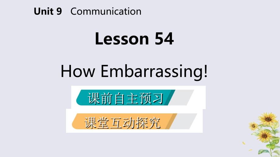 2018-2019学年九年级英语下册 unit 9 communication lesson 54 how embarrassing课件 （新版）冀教版_第2页