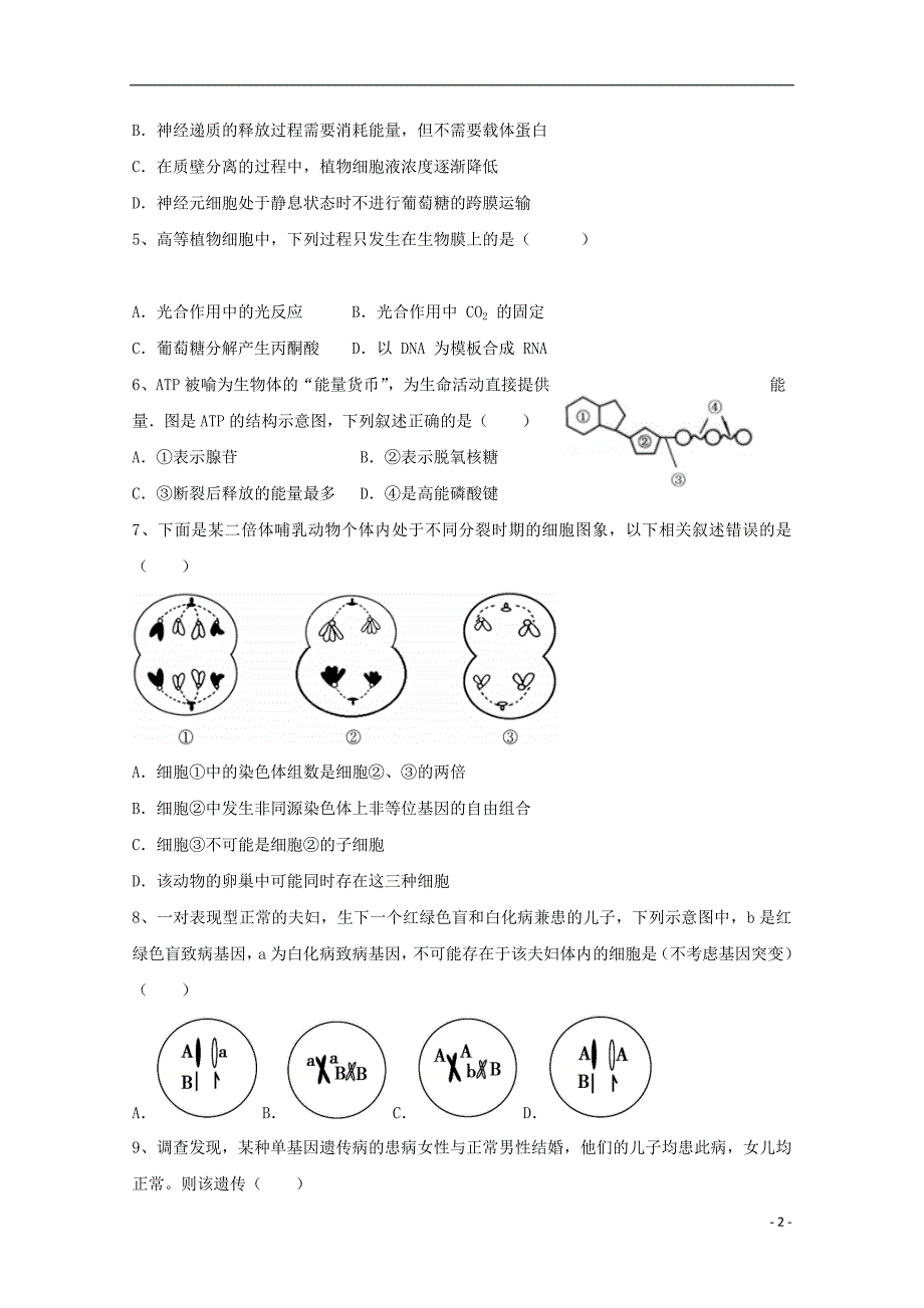 辽宁省六校协作体2018-2019学年高二生物上学期期中试题_第2页