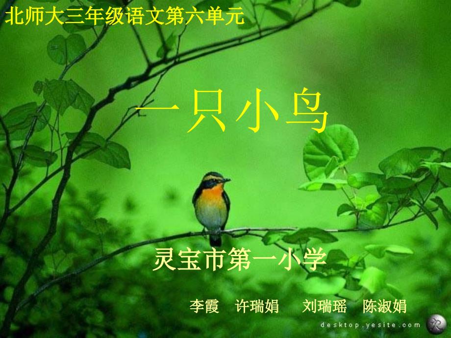 北师大三年级语文上册《一只小鸟》[名师ppt教学课件]_第1页