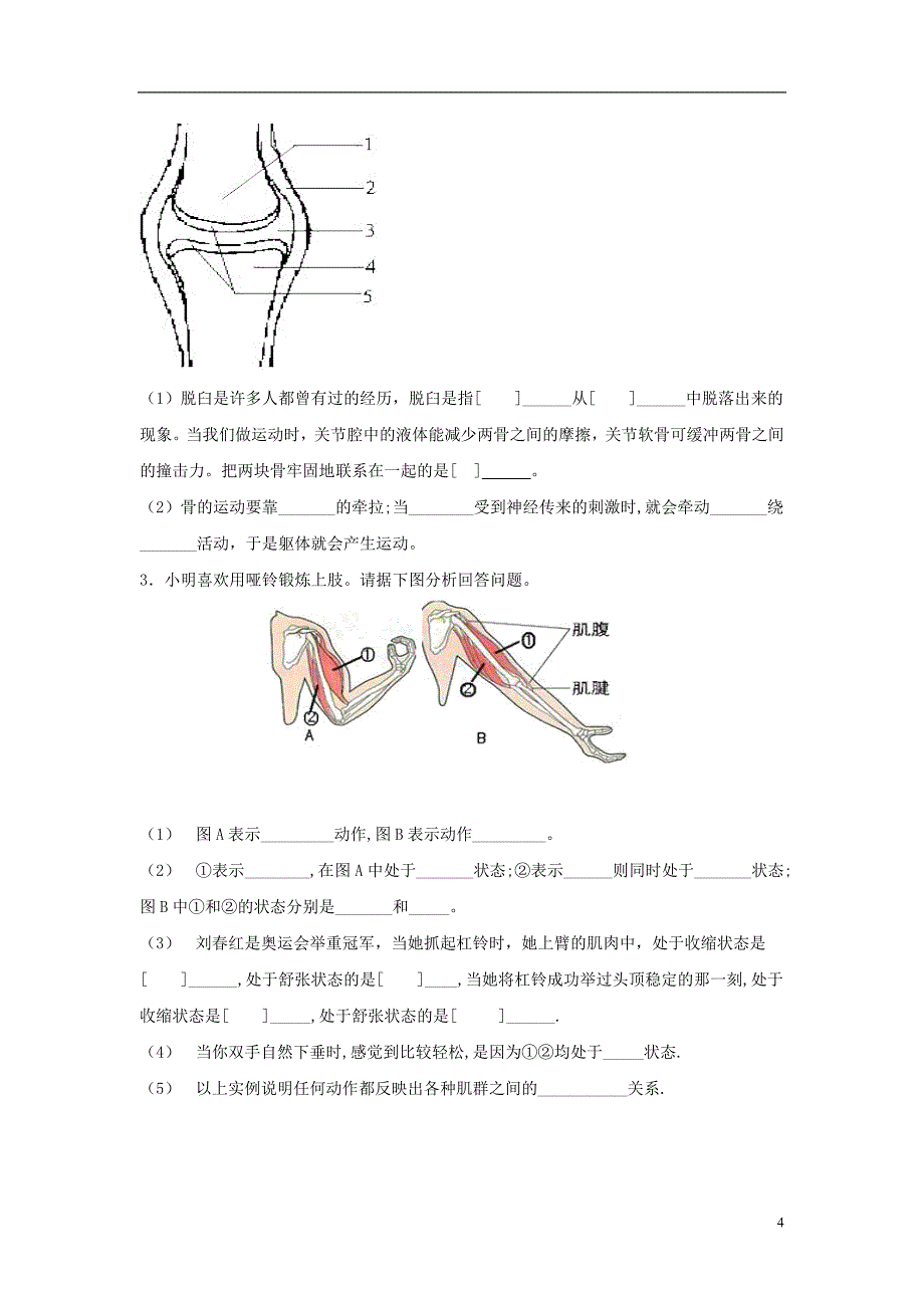 八年级生物上册 5.2.1《动物的运动》导学案1 （新版）新人教版_第4页