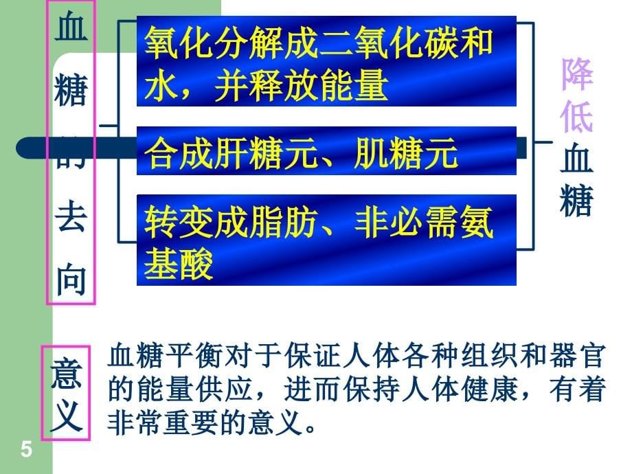 糖尿病及其并发症药物治疗_第5页