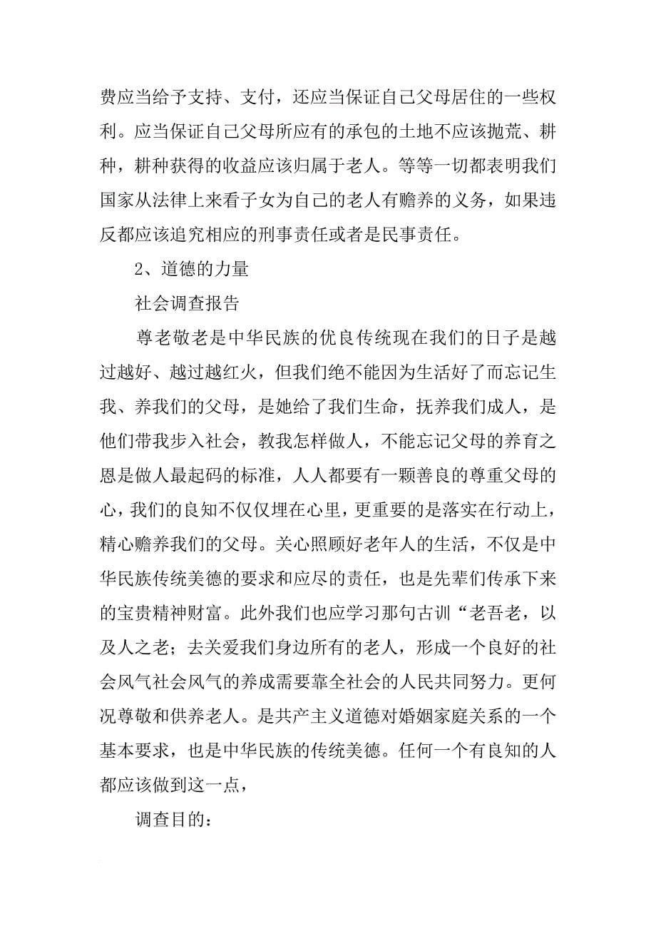 汉语言文学专业社会调查报告范文_第5页