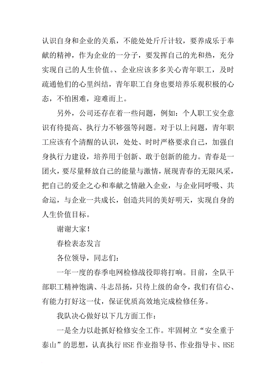 电网年终青年代表发言_第3页