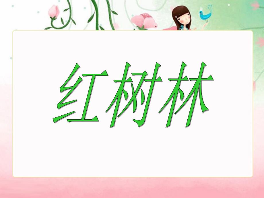 北师大五年级语文上册《红树林》2[名师ppt课件]_第1页