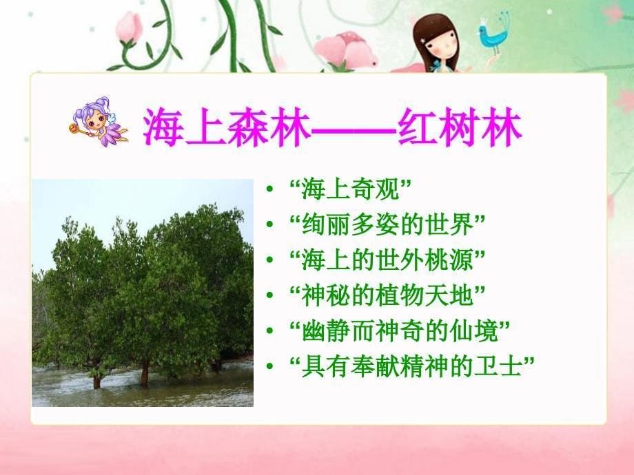 北师大五年级语文上册《红树林》2[名师ppt课件]_第5页