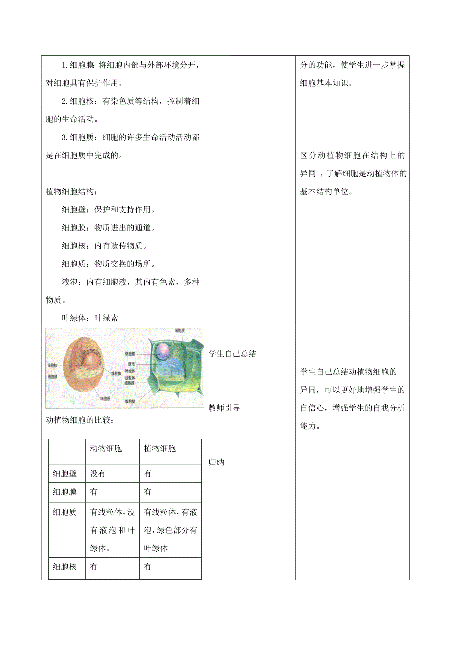 七年级生物上册 2.3.1《细胞的基本结构和功能》（第3课时）教案 （新版）新人教版_第2页