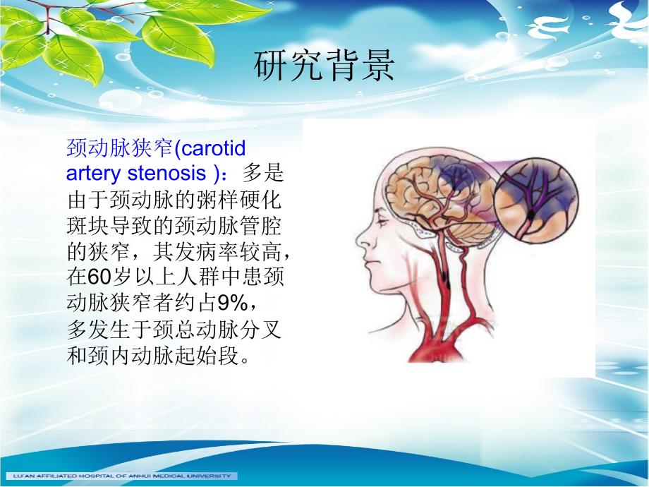 颈动脉支架置入术对重度颈动脉狭窄患者认知功能影响_第3页