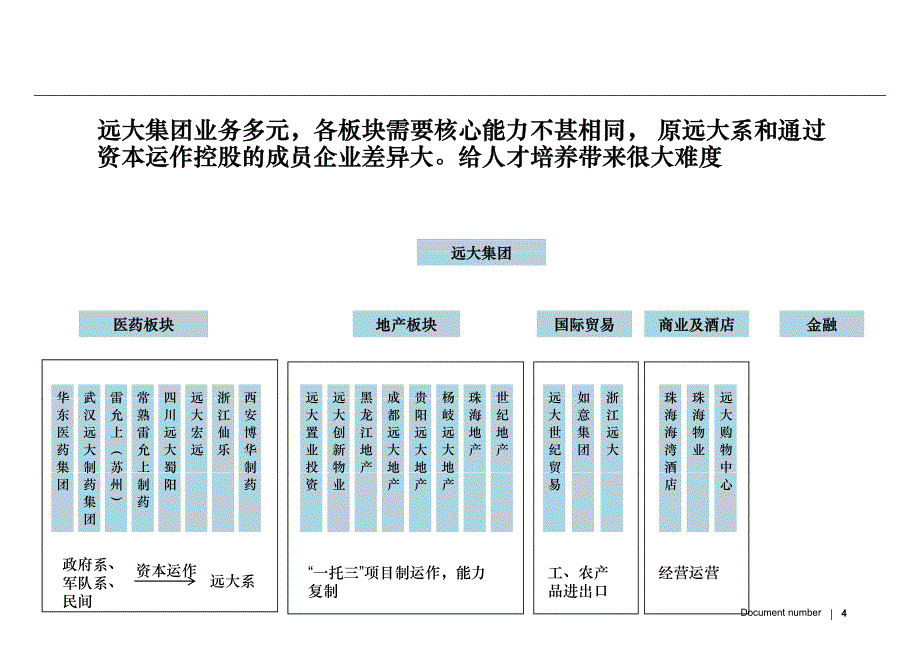 远大集团_后备干部培养_v1[1].0_第4页