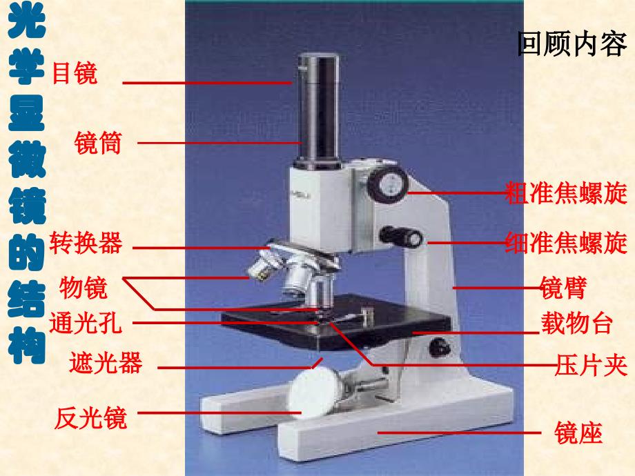 高倍显微镜使用方法_第4页