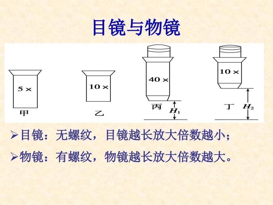 高倍显微镜使用方法_第5页