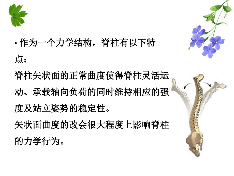 脊柱生物力学与退行性骨关节病_第3页