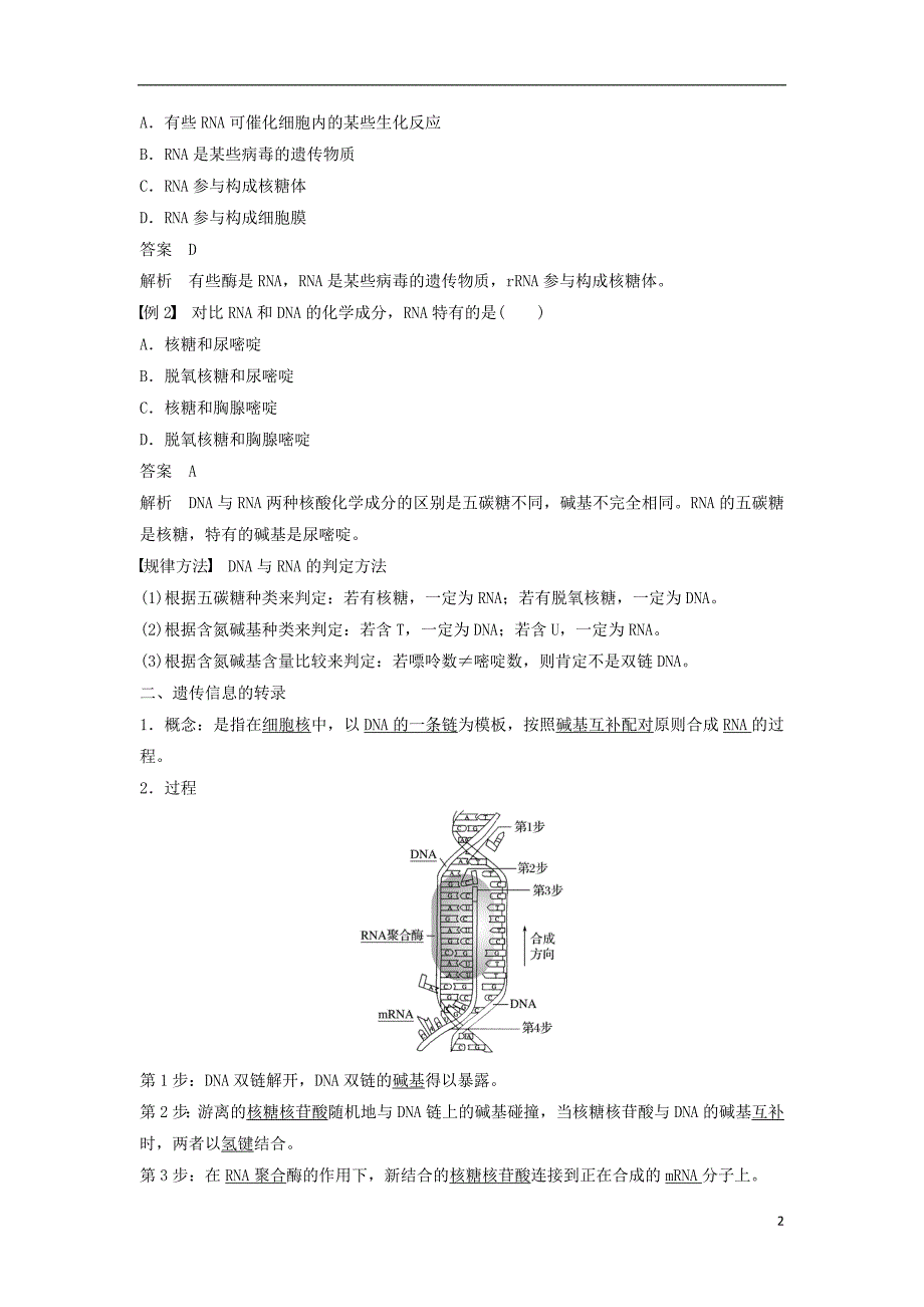 2018-2019学年高中生物 第4章 基因的表达 第1节 基因指导蛋白质的合成学案 新人教版必修2_第2页