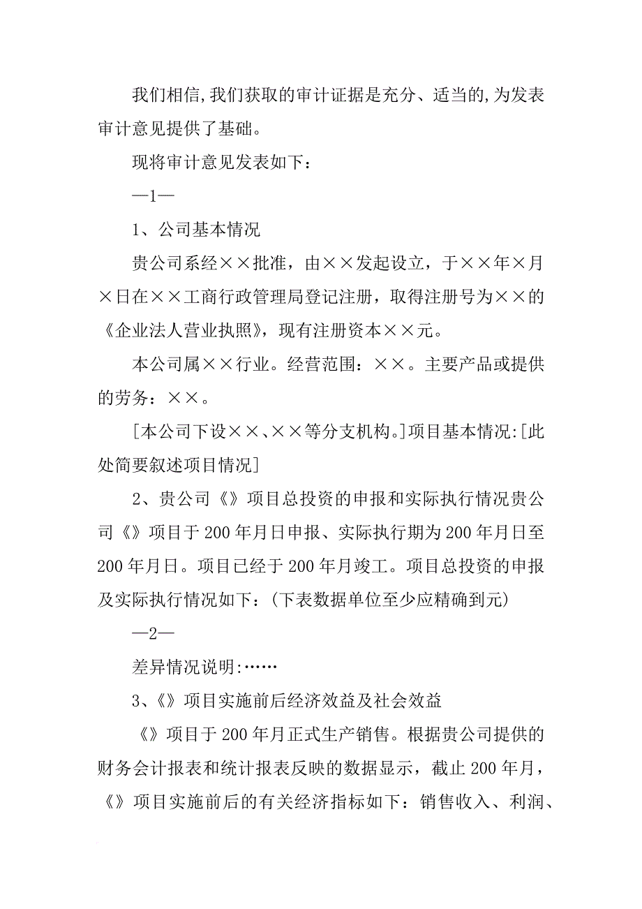 项目计划,审计报告_第2页