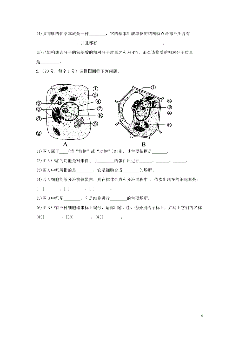 吉林省吉林市第五十五中学2018-2019学年高一生物上学期期中试题（无答案）_第4页