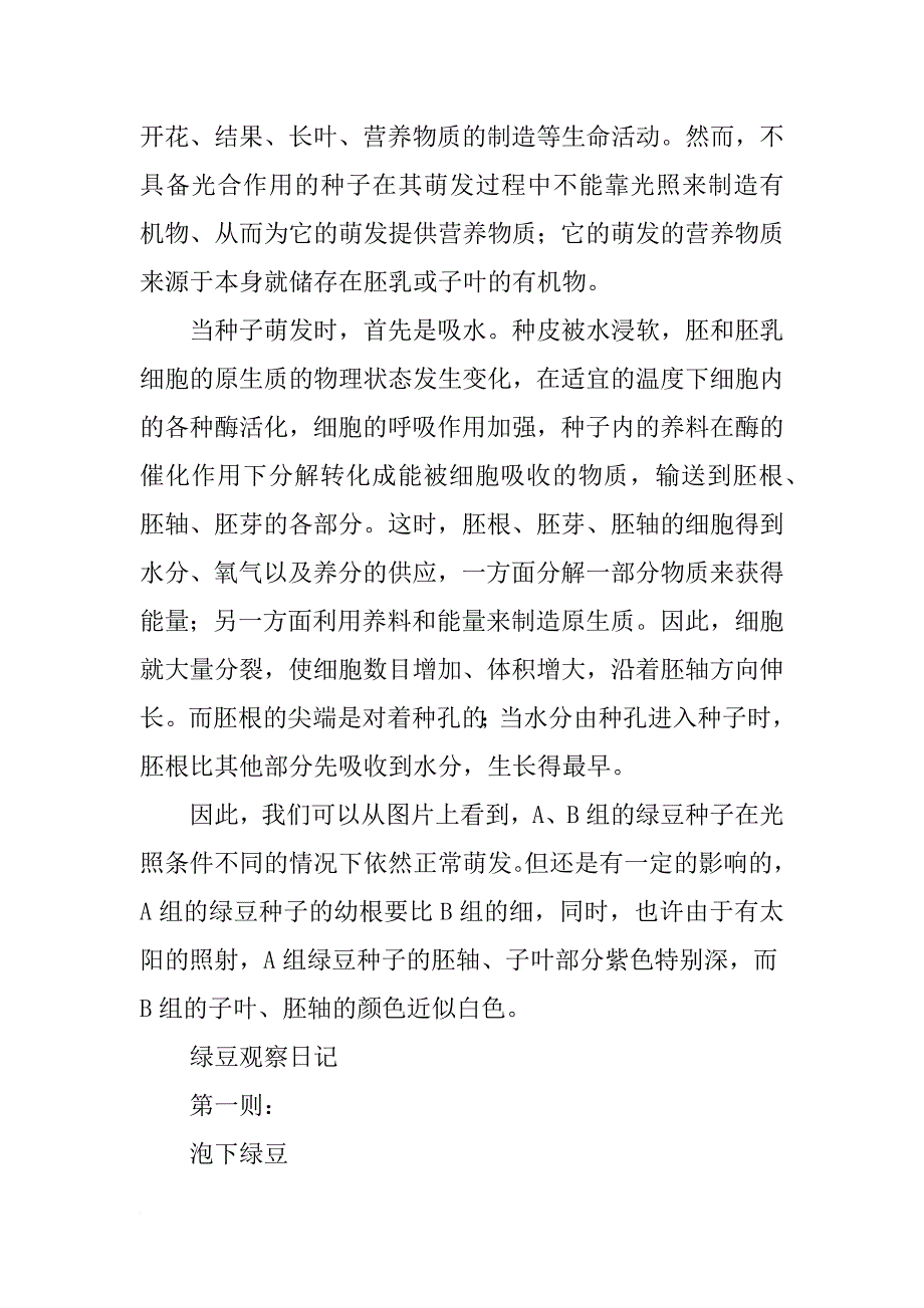 绿豆观察日记总结_第4页