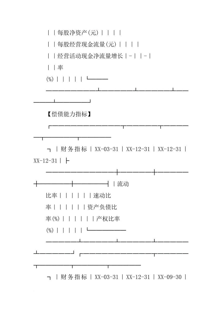 重庆审计报告_第5页