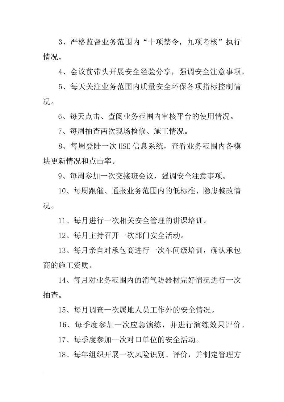 项目经理行动计划_第5页