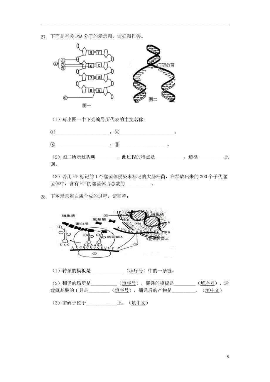 海南省海口四中2017-2018学年高一生物下学期期末考试试题_第5页