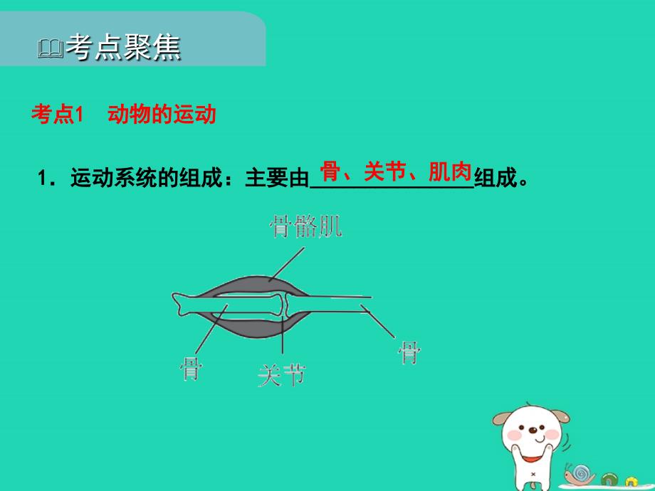 pk中考（江西专用）2019中考生物 六、动物的运动和行为习题课件_第2页